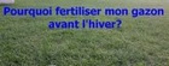 Nourrir le gazon avant l’hiver